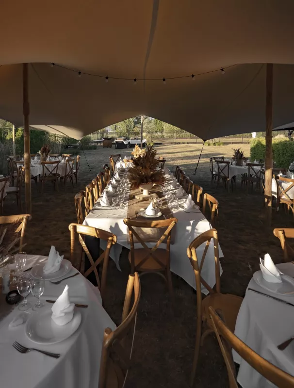 Location déco mariage, anniversaire, baby shower – Mouscron & Tournai . location décoration mariage, mobilier événementiel, déco anniversaire, baby shower Mouscron, décoration fête Tournai, papeterie mariage, décoration communion, Made by MD. Découvrez notre mobilier et décoration tendance pour mariages, anniversaires, baby showers, baptêmes et communions à Mouscron et Tournai. Mobilier, papeterie, compositions florales et décorations pour tous vos événements.